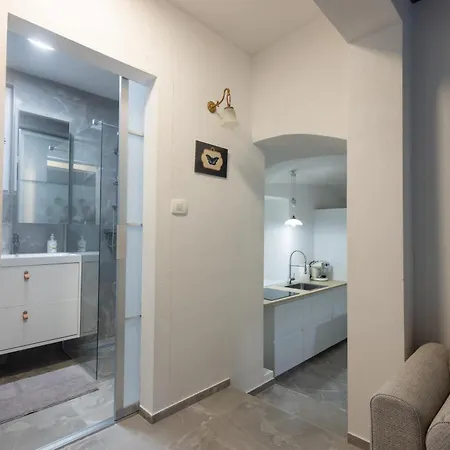 Karlovska Duplex Urban شقة ليوبليانا
